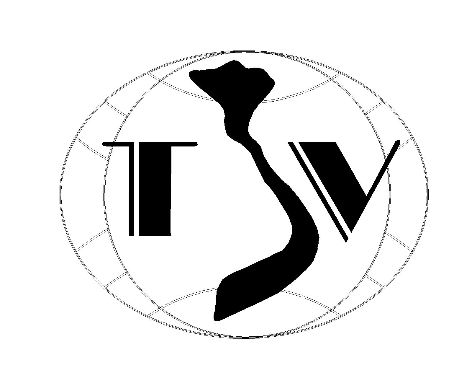 logo-toanvietsteel